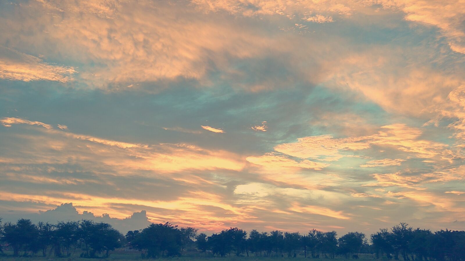 Xiaomi Redmi Note3 sample photo. Ash, cloud, clouds, cloudy photography