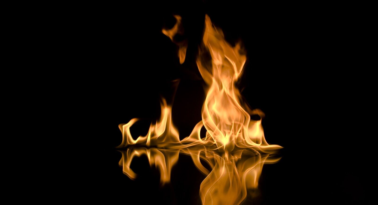 Nikon D50 sample photo. Fire, the flame, firefox photography