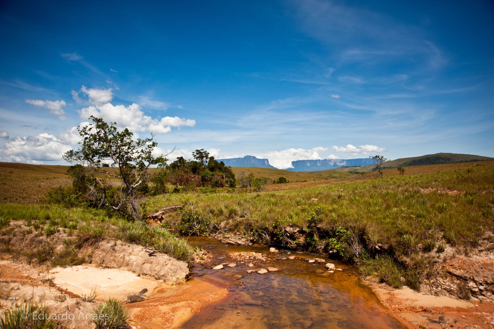 Nikon D700 sample photo. Landscape, bolivar, summer photography