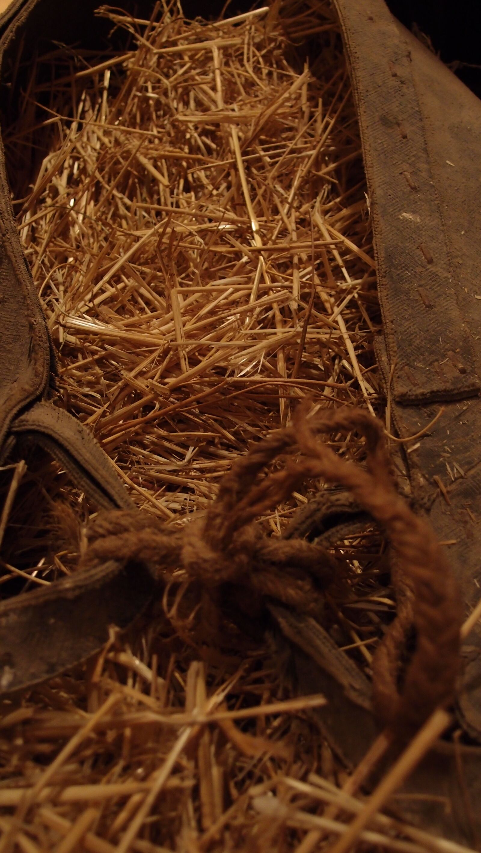 Olympus XZ-1 sample photo. Straw, donkey, agriculture photography