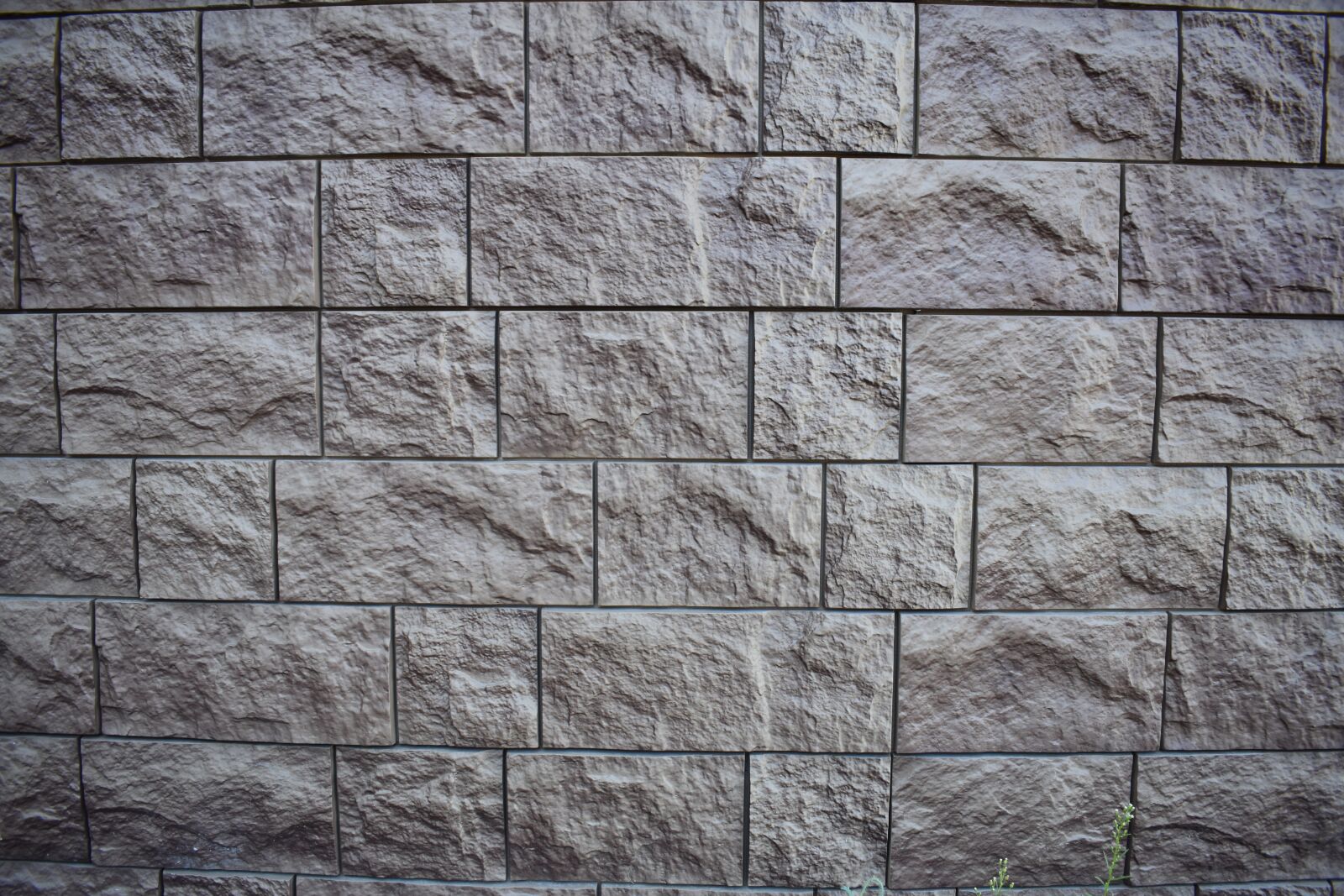 Nikon D3400 sample photo. Background, texture, stone photography