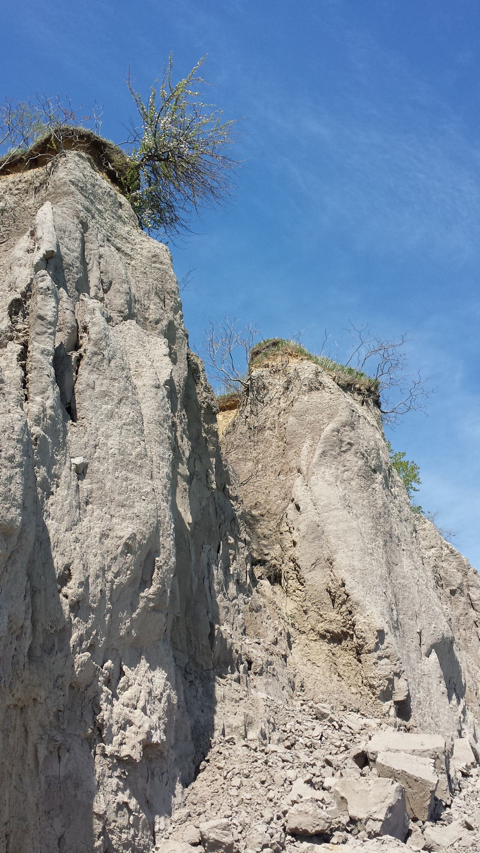 Samsung Galaxy S4 sample photo. John e, pearce conservation photography