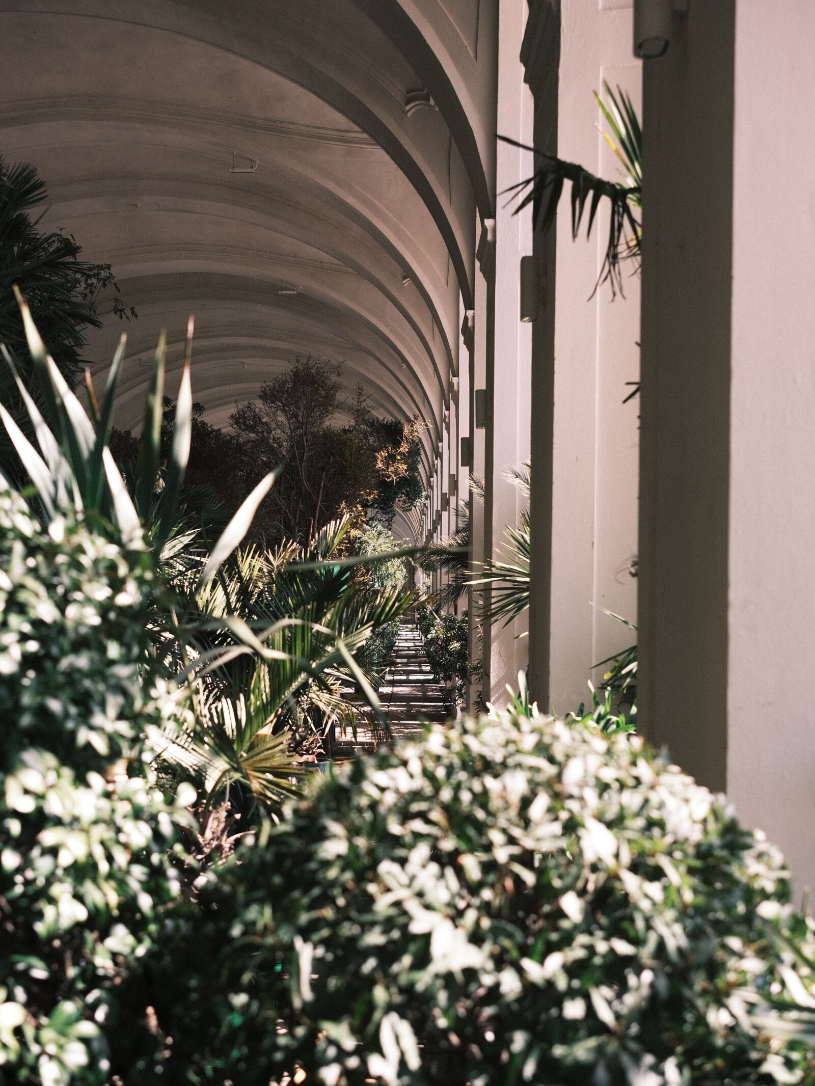 Fujifilm X-T5 sample photo. Orangerie photography