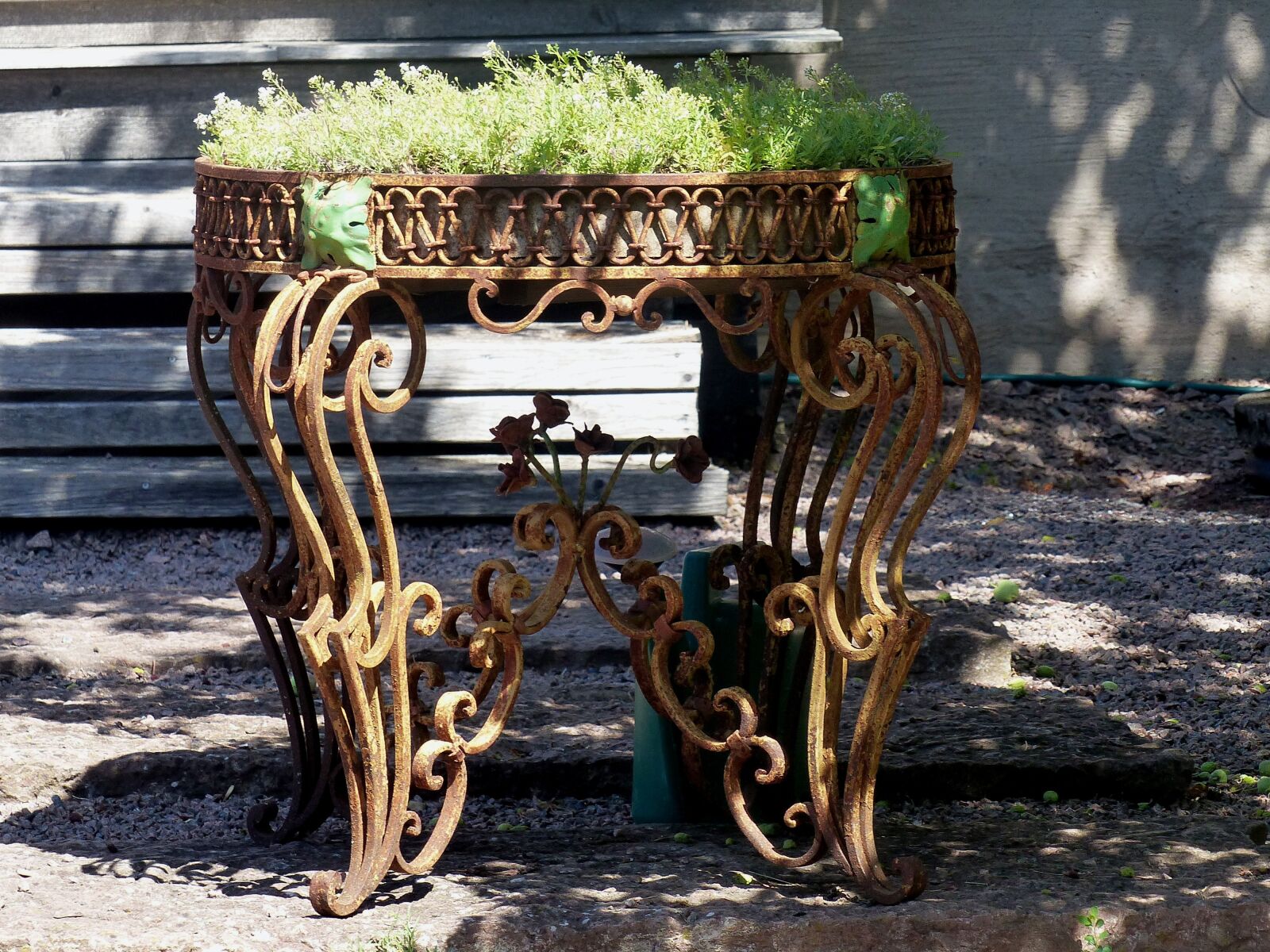 Panasonic Lumix DMC-FZ200 sample photo. Blomsterbord, rusty, iron photography