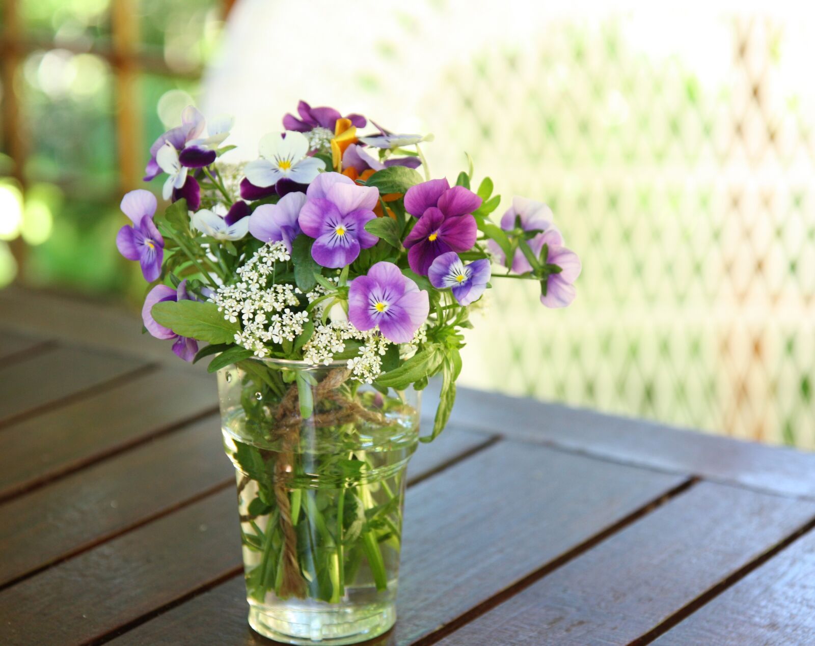 Canon EOS 450D (EOS Rebel XSi / EOS Kiss X2) sample photo. Flower, pansy, vase photography