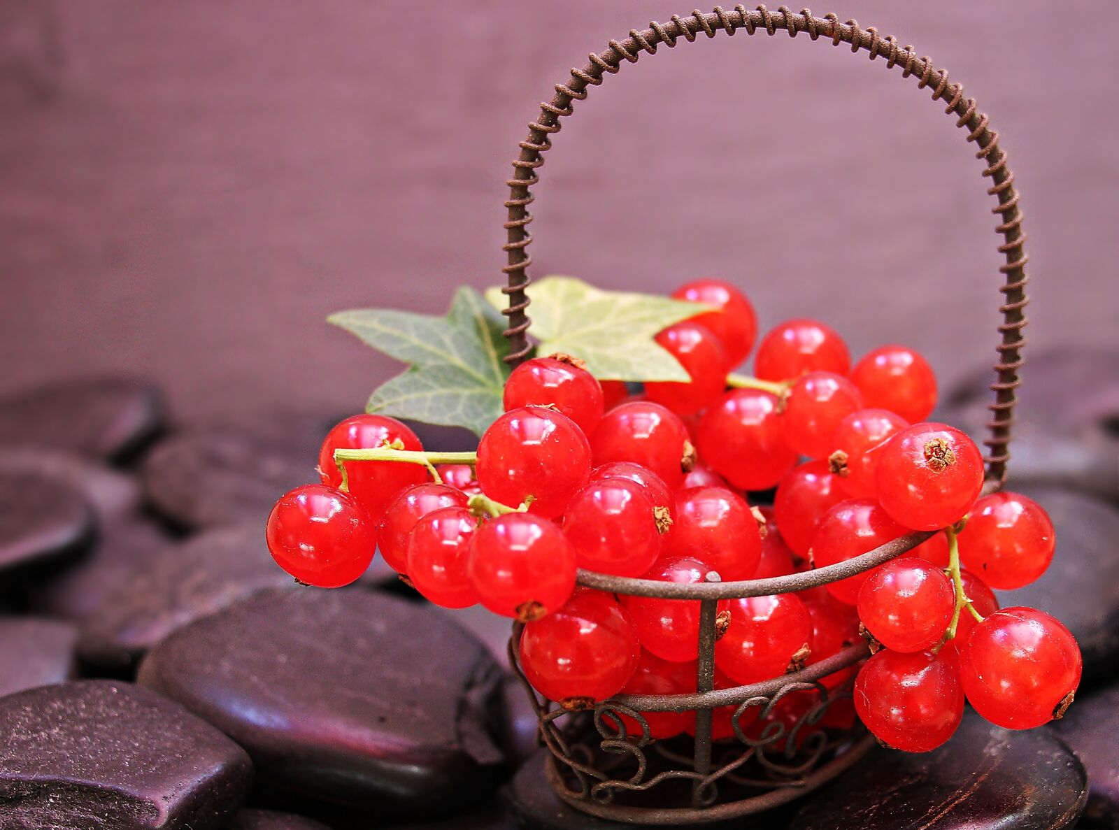 Canon EOS 550D (EOS Rebel T2i / EOS Kiss X4) sample photo. Currants, fruit, red currant photography