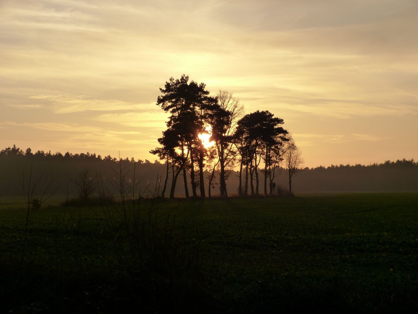 Panasonic Lumix DMC-FZ150 sample photo. Sunset, field, trees photography