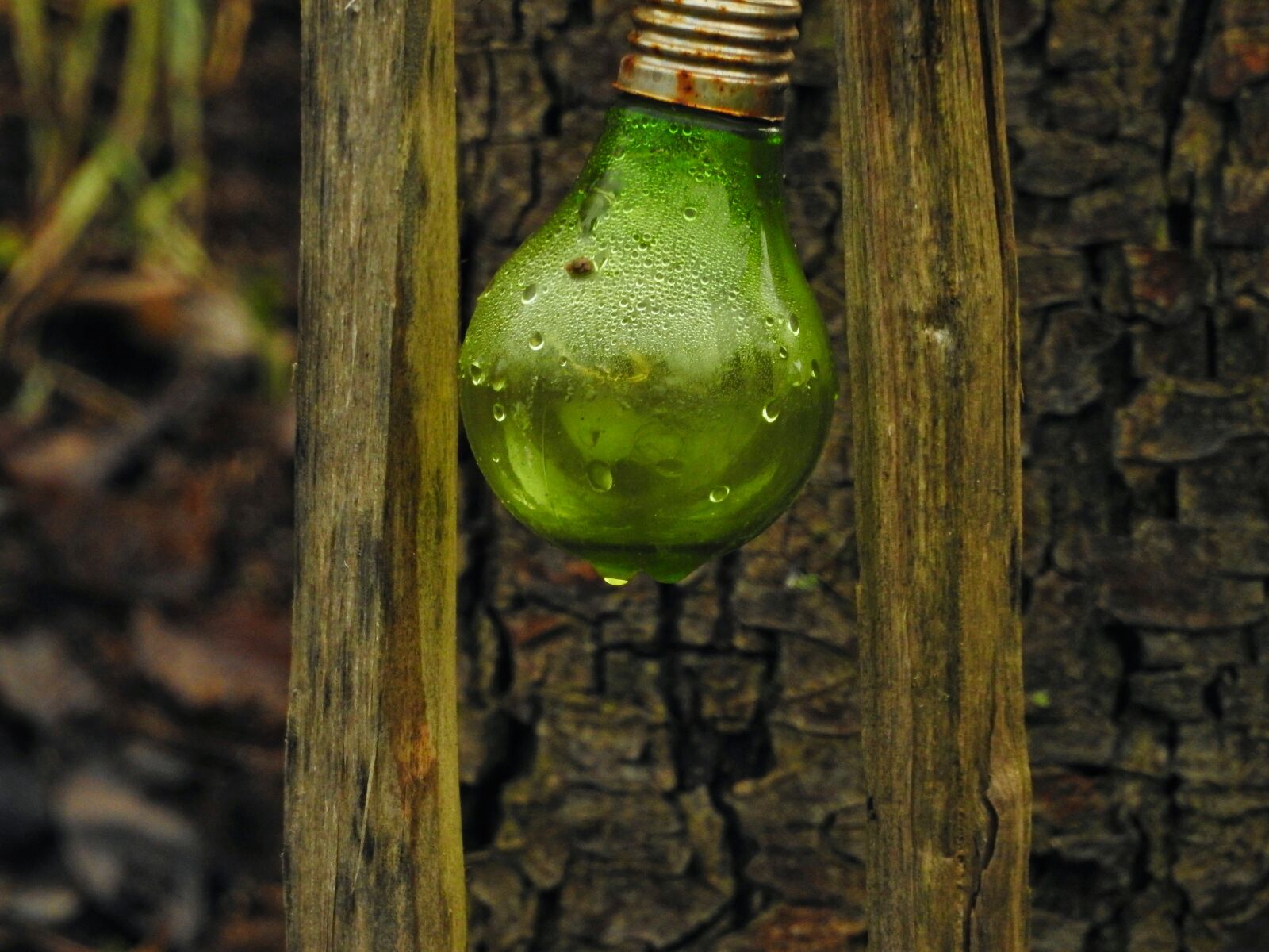 Nikon Coolpix P900 sample photo. Gartendeko, lamp, decoration photography