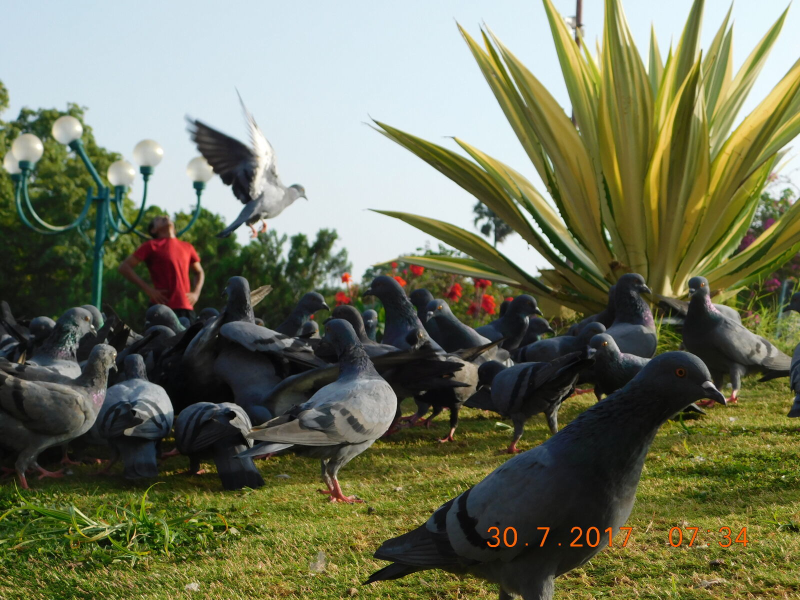 Nikon Coolpix B500 sample photo
