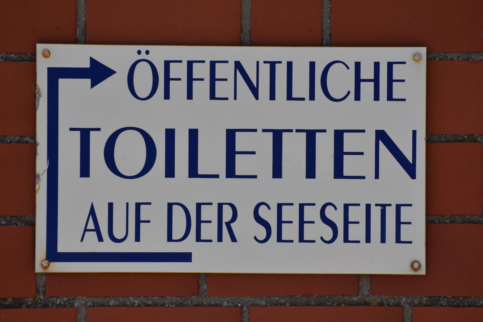 Nikon D5600 sample photo. Toilet, public blue, white photography