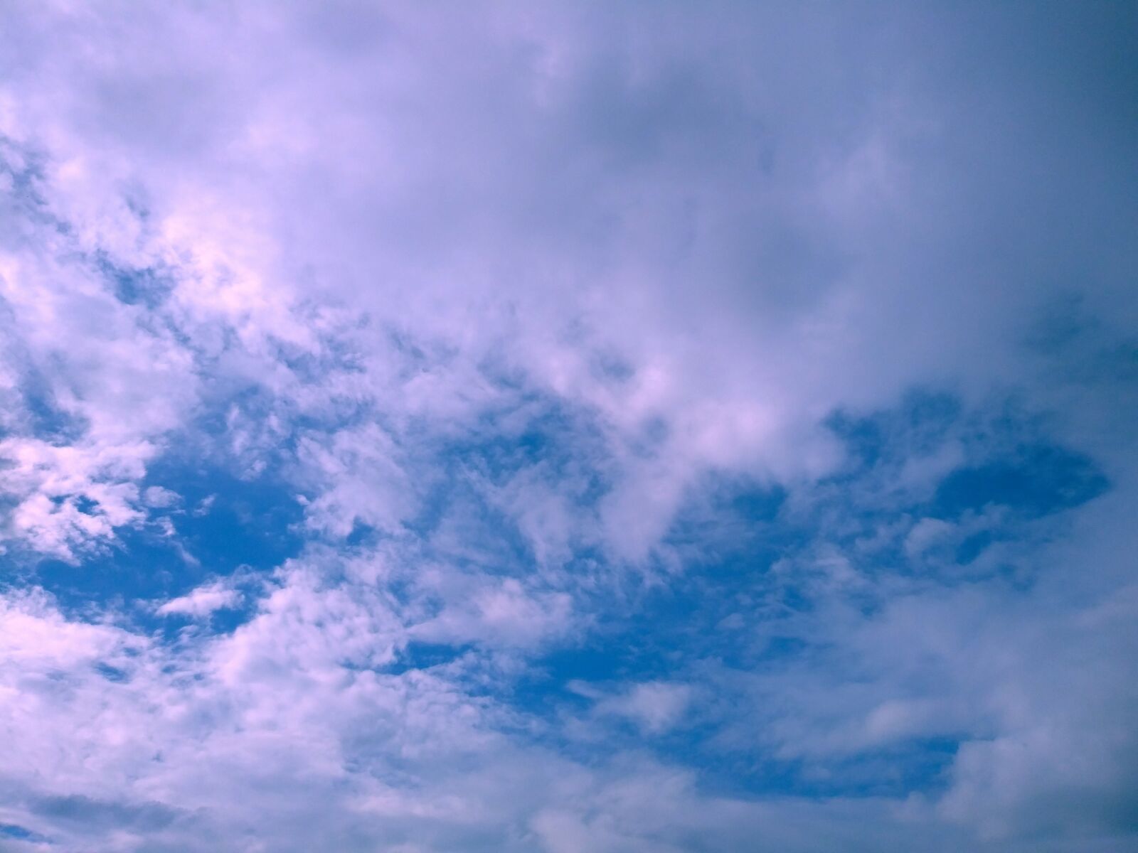 LG M700 sample photo. Sky, blue, sad photography