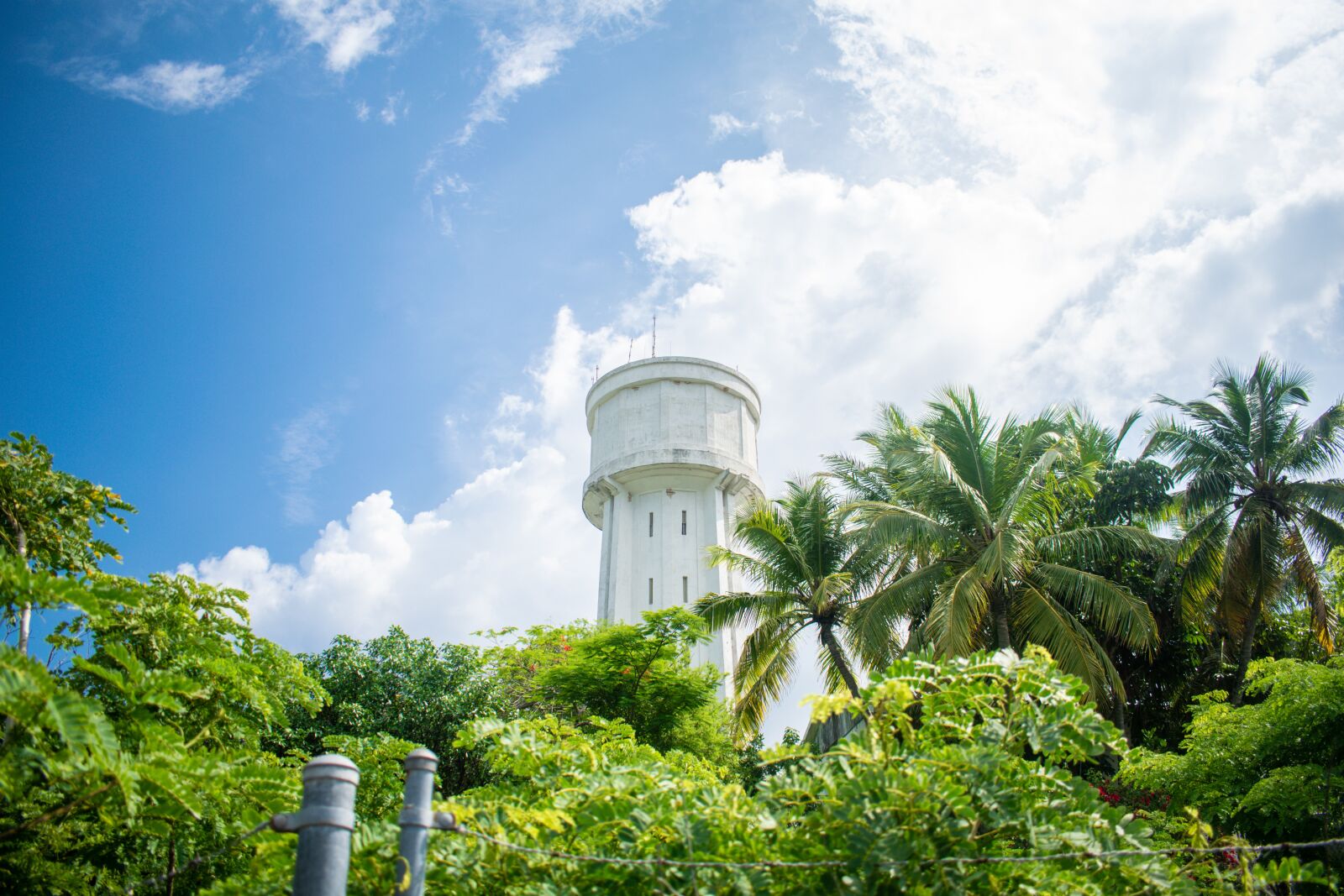 Nikon D5300 sample photo. Sky, trees, plan photography