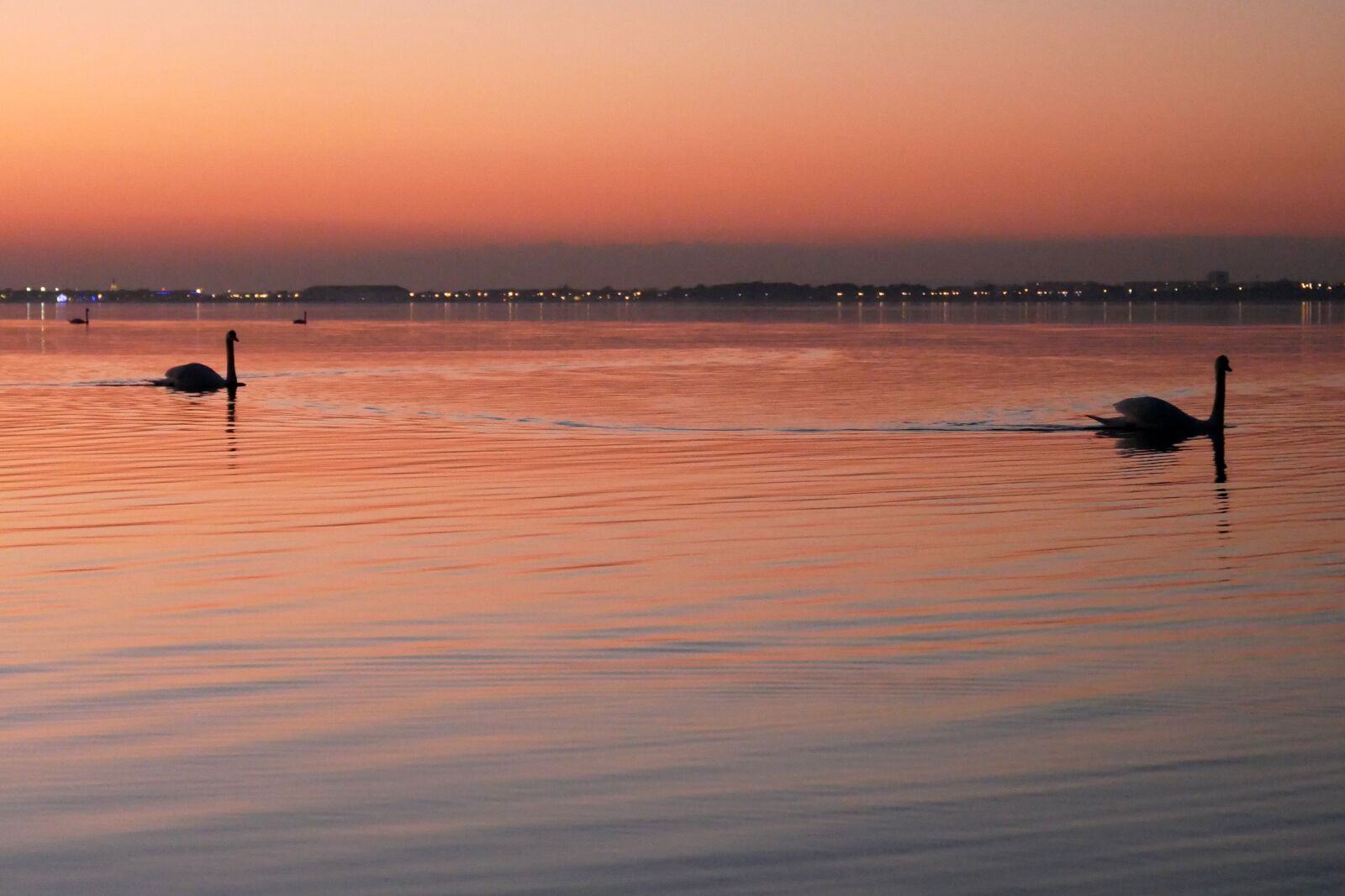 Panasonic Lumix DMC-GX85 (Lumix DMC-GX80 / Lumix DMC-GX7 Mark II) sample photo. Sunset, dawn, twilight photography