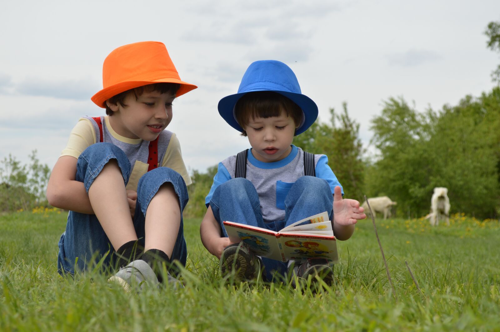 Nikon D3200 sample photo. Boys, meadow, kids photography
