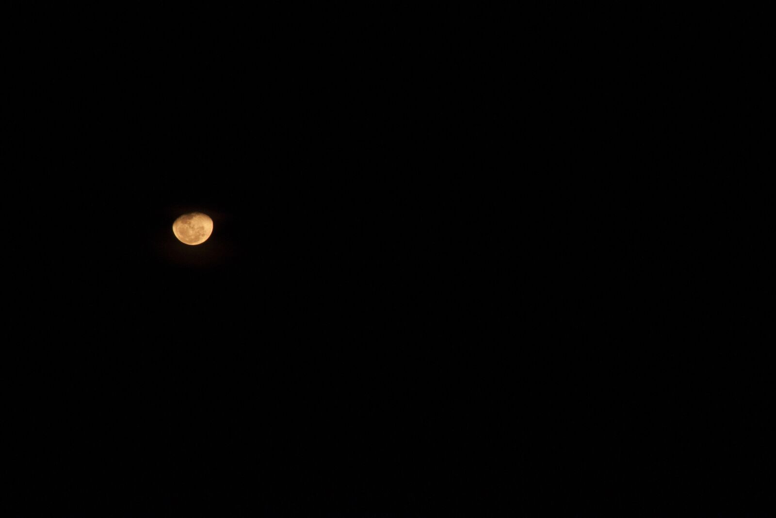 Canon EOS 500D (EOS Rebel T1i / EOS Kiss X3) sample photo. Blood moon, moon, night photography