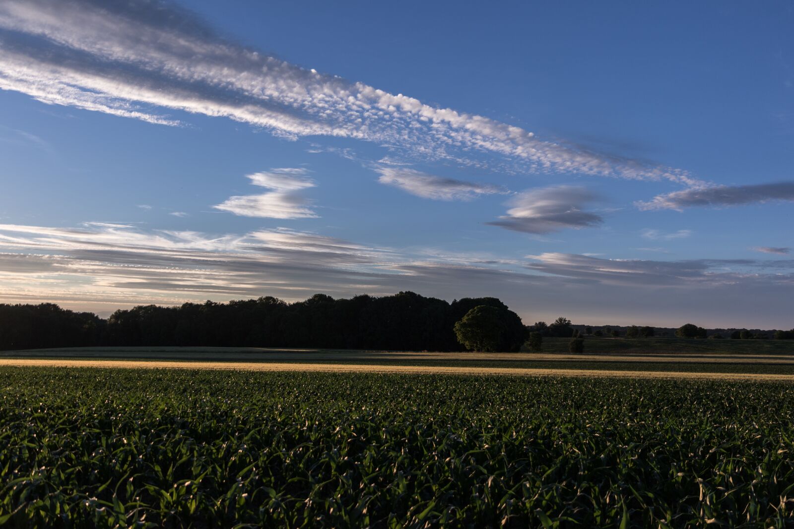Canon EOS 7D Mark II sample photo. Sky, clouds, clouds form photography