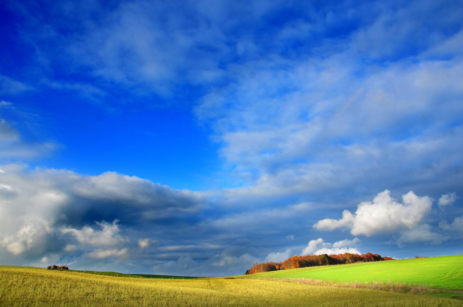 Nikon D5100 sample photo. Countryside, pasture, agriculture photography