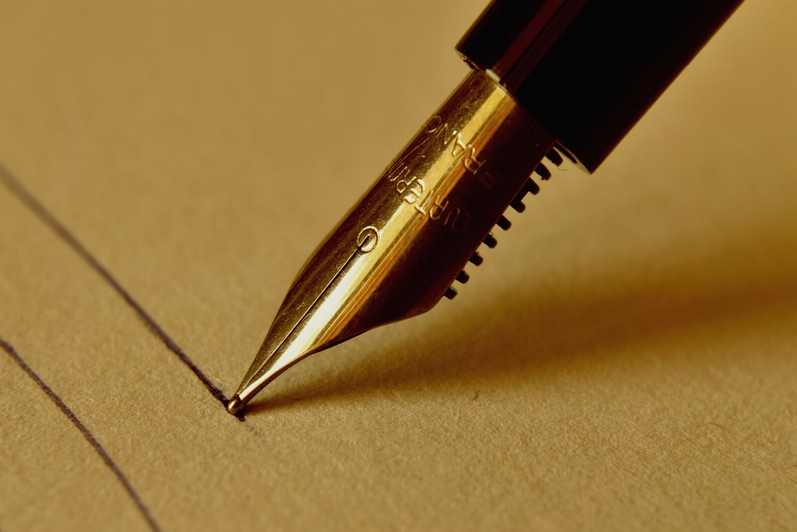 Nikon D3500 sample photo. Pen, ink, paper photography