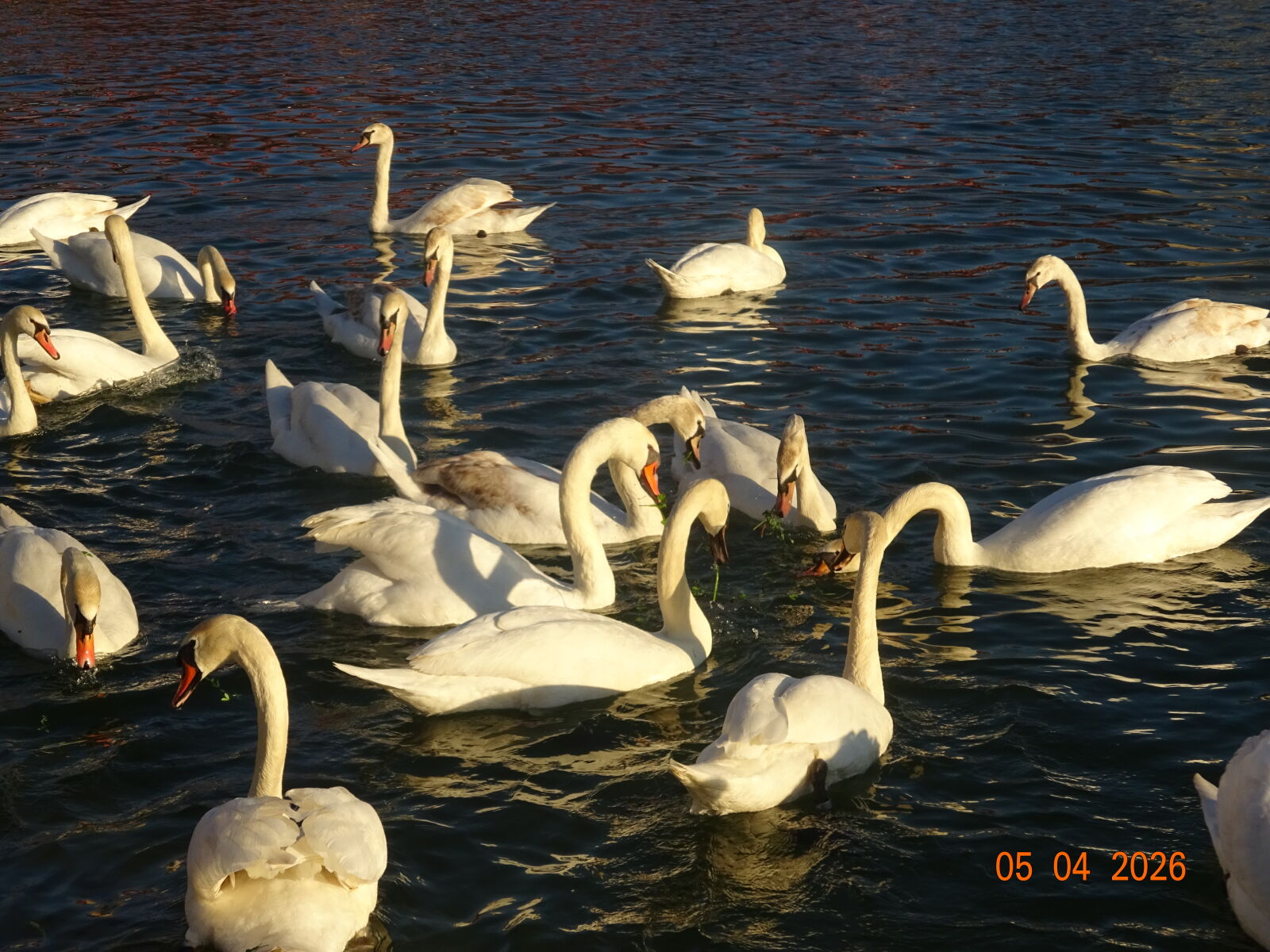 Sony Cyber-shot DSC-WX350 sample photo