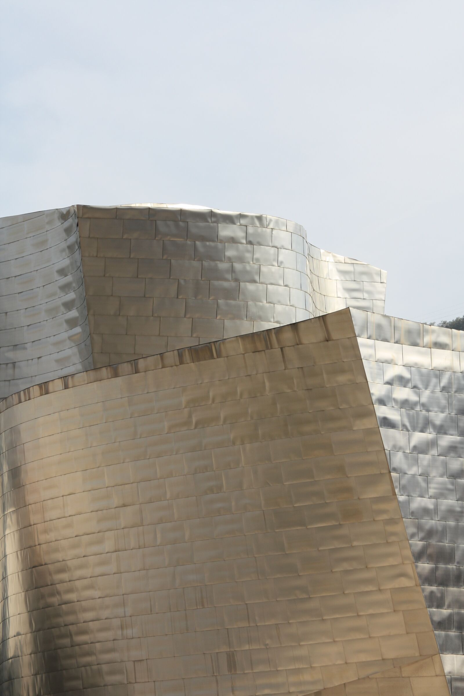 Canon EOS 450D (EOS Rebel XSi / EOS Kiss X2) sample photo. Guggenheim, bilbao, spain photography