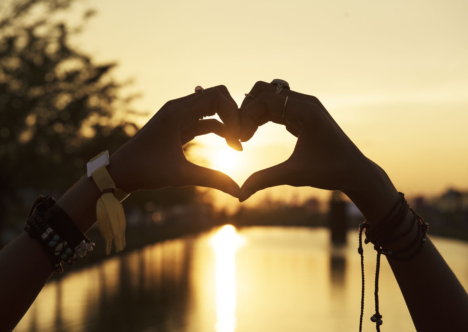 Nikon D810 sample photo. Heart, silhouette, sun photography