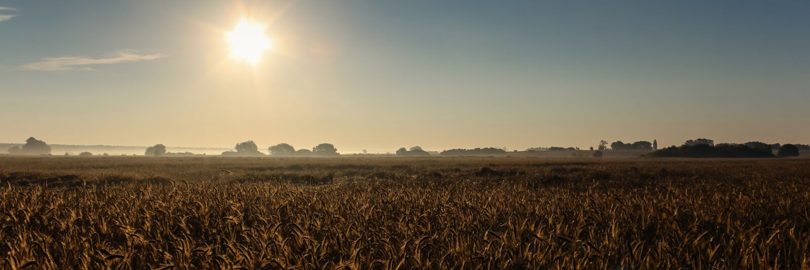 Canon EF-S 18-135mm F3.5-5.6 IS sample photo. Sunrise, field, landscape photography