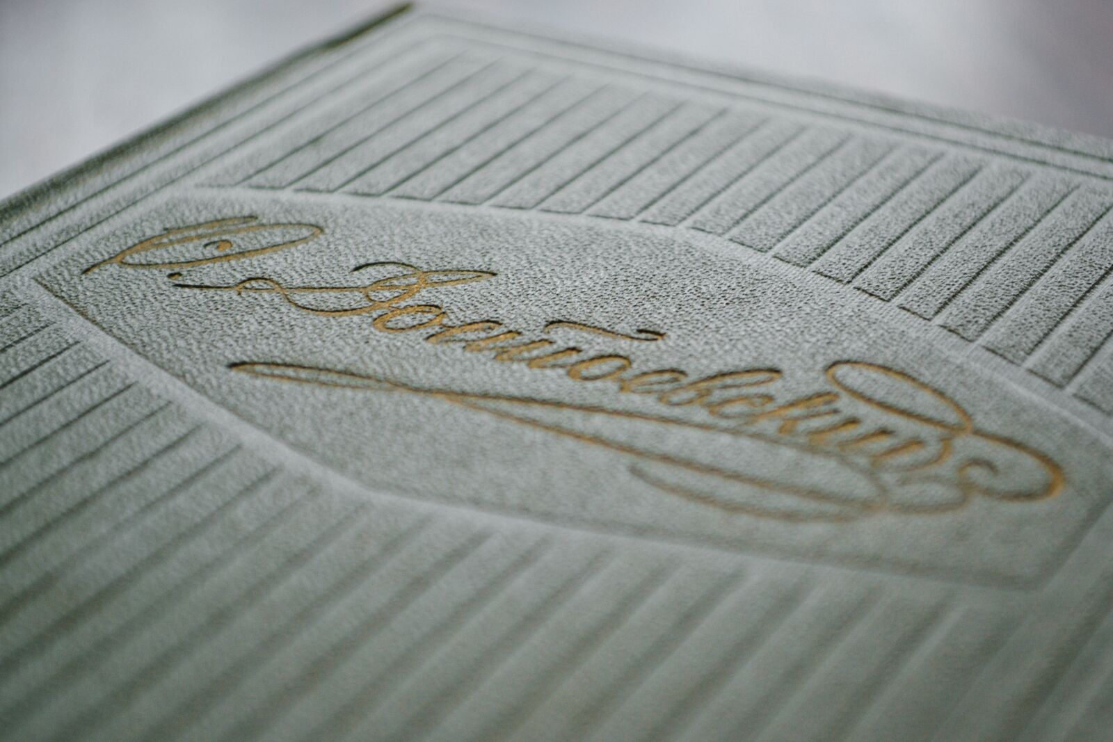 Nikon D3100 sample photo. Book, classic, closeup photography