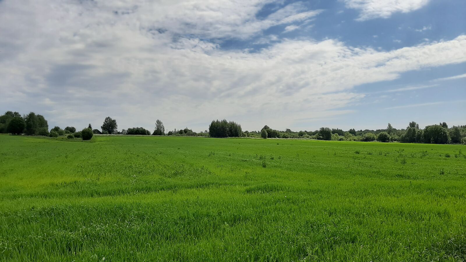 Samsung Galaxy A50 sample photo. Sky, field, landscape photography