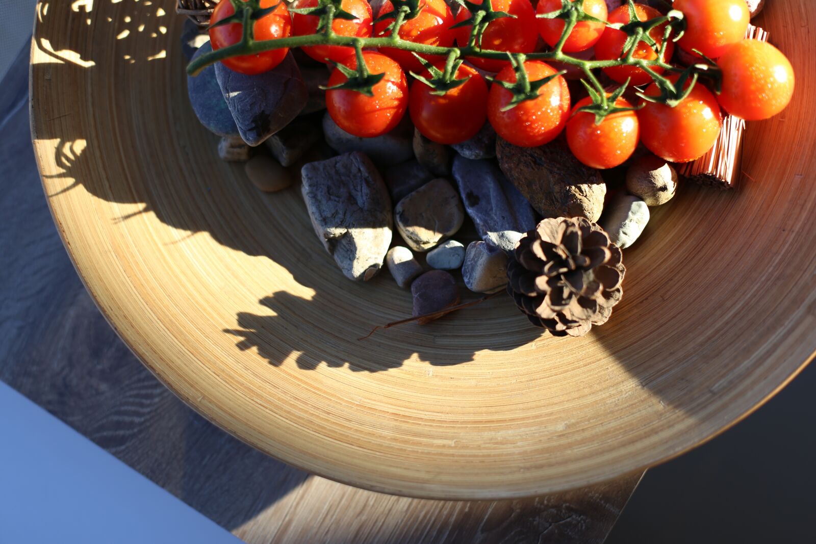Canon EOS 6D + Canon EF 50mm F1.4 USM sample photo. Tomato, greenhouse, cocktail photography