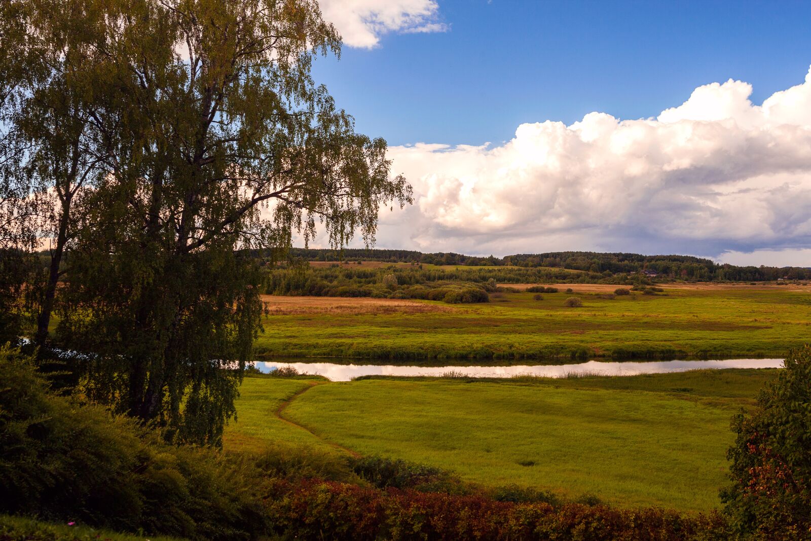 Canon EOS 5D Mark II sample photo. Pushkinskiye gory, nature, landscape photography