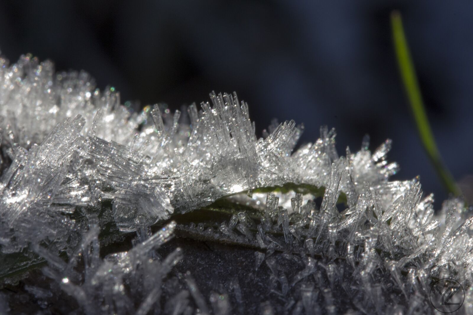 Canon EF-S 60mm F2.8 Macro USM sample photo. Frost, ice crystal, winter photography