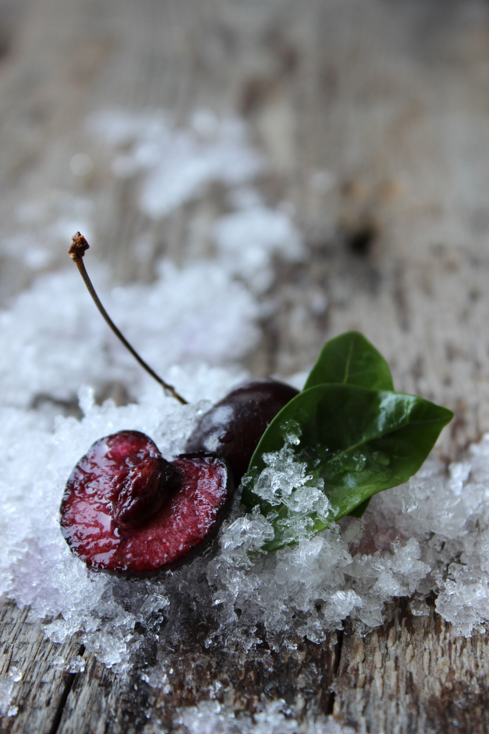 Canon EOS 600D (Rebel EOS T3i / EOS Kiss X5) sample photo. Close, up, of, frozen photography