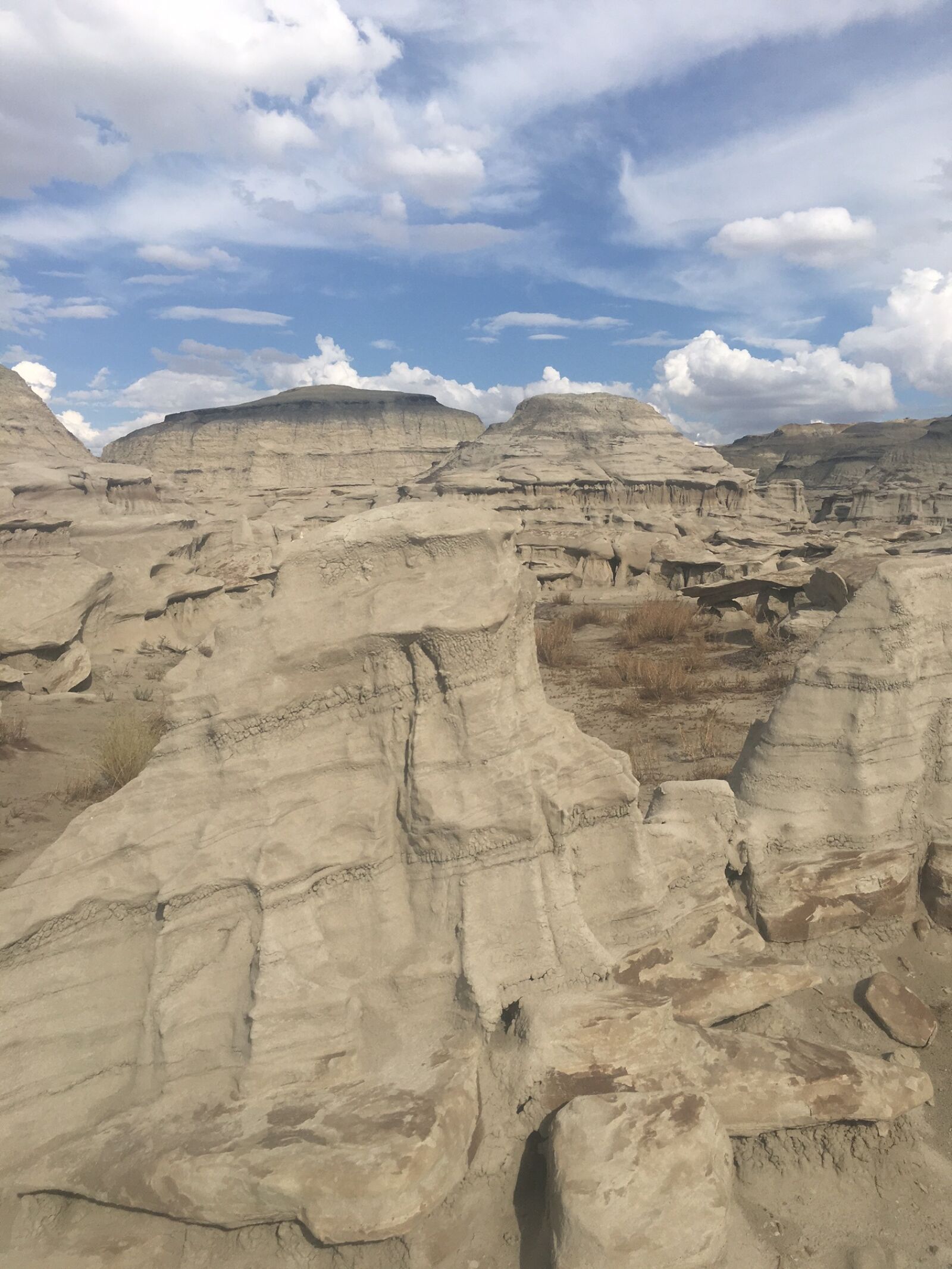 Apple iPhone 6s sample photo. The white place, badlands photography