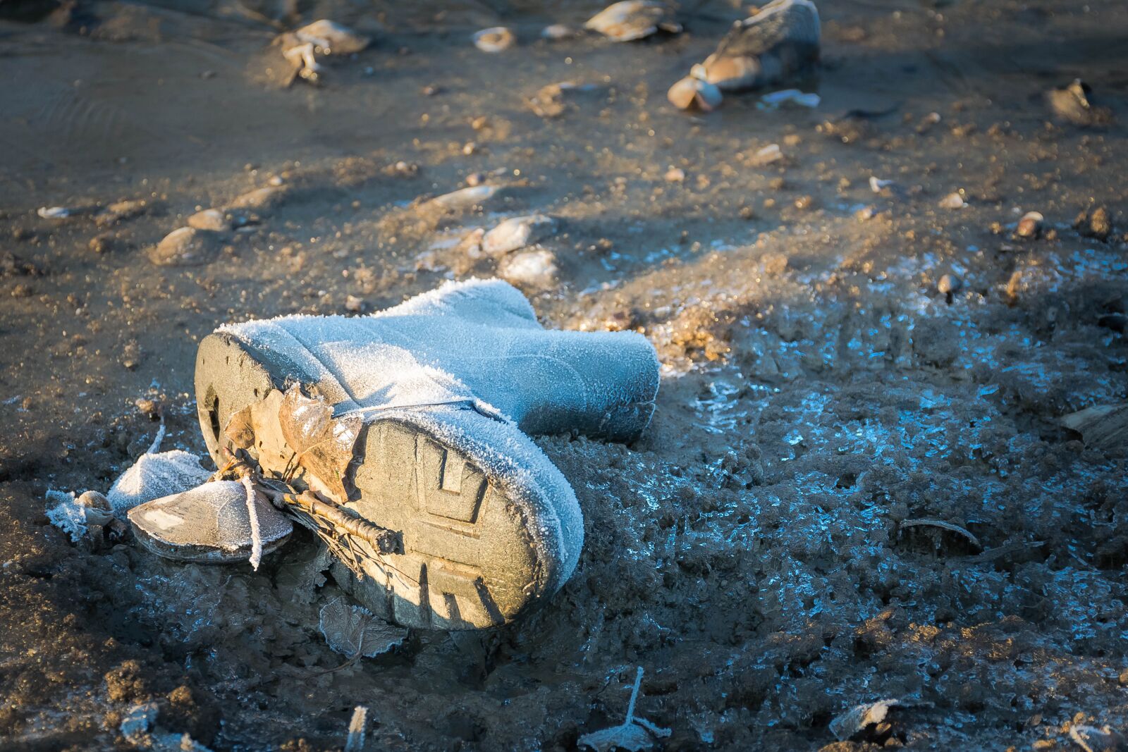 Nikon D5300 sample photo. Boots, winter, clothing photography