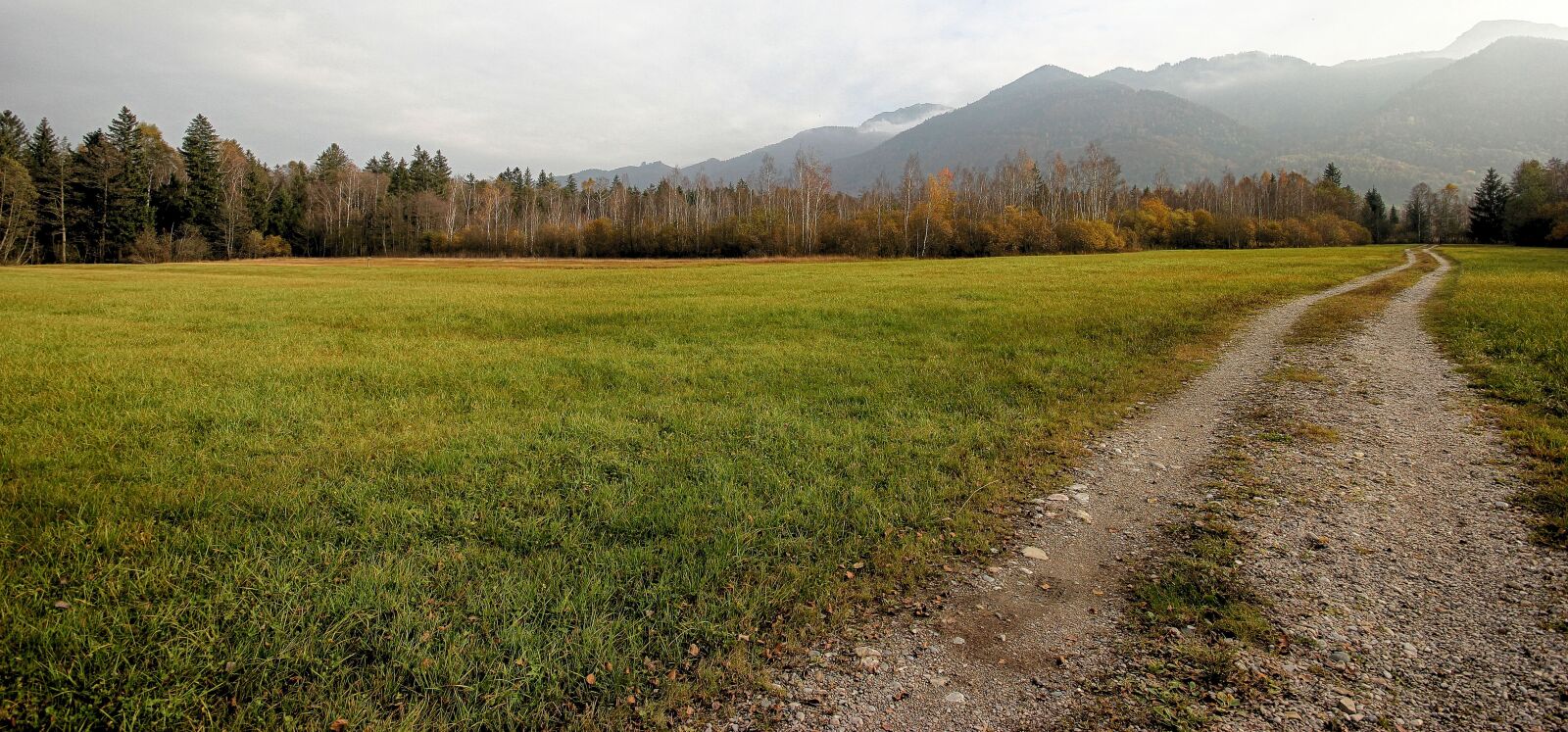 Canon EOS 550D (EOS Rebel T2i / EOS Kiss X4) sample photo. Moor, landscape, lane photography