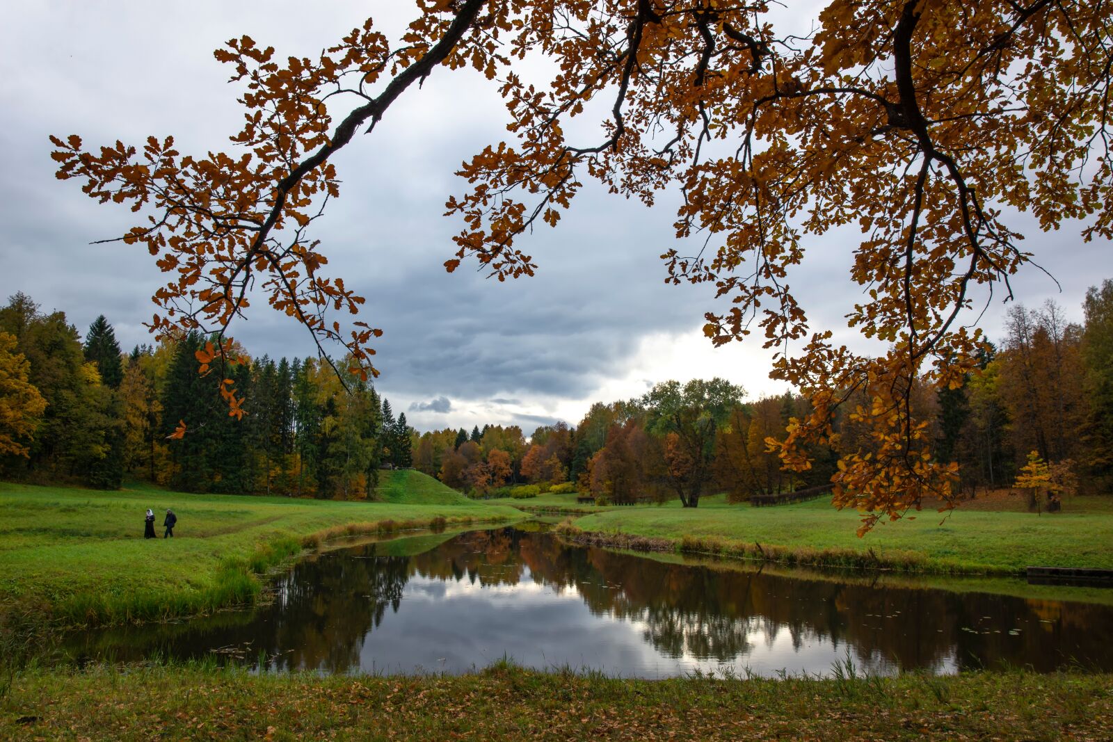 Nikon D5200 sample photo. Landscape, park, autumn photography