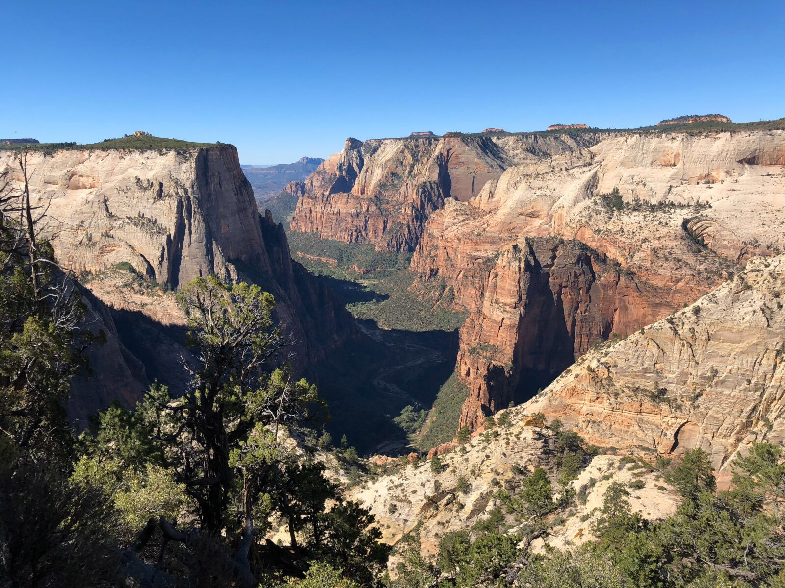 Apple iPhone X sample photo. Zion, canyon, landscape photography