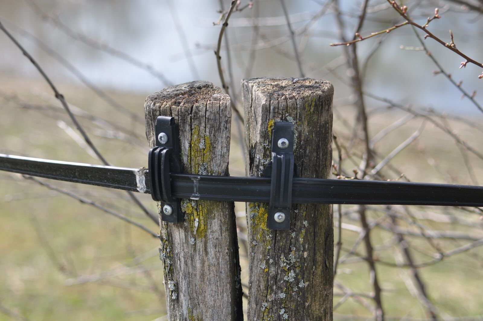 Nikon D90 sample photo. Fence, nature, wire photography