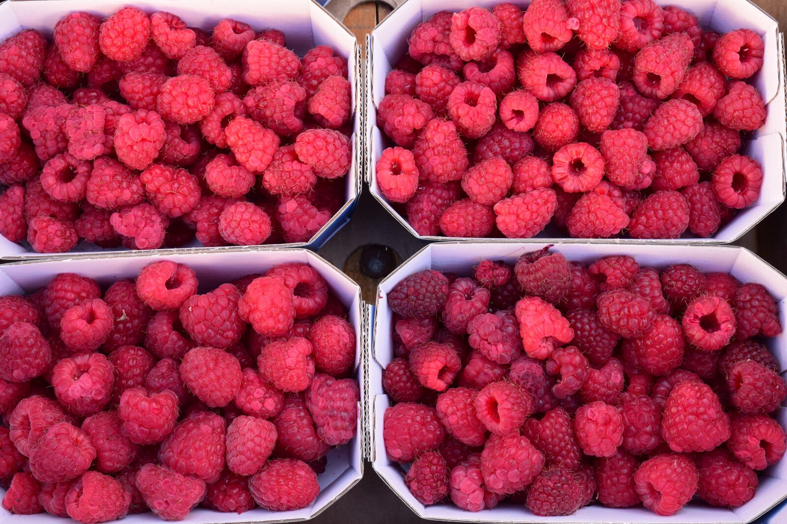 Nikon D3300 sample photo. Raspberries, berries, fruits photography
