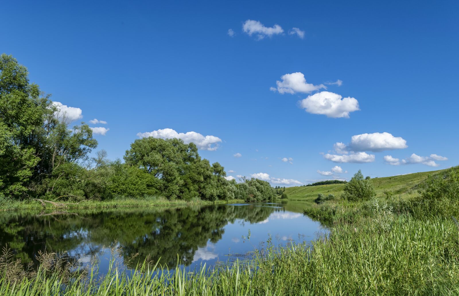 Nikon D3300 sample photo. Nature, summer, sky photography
