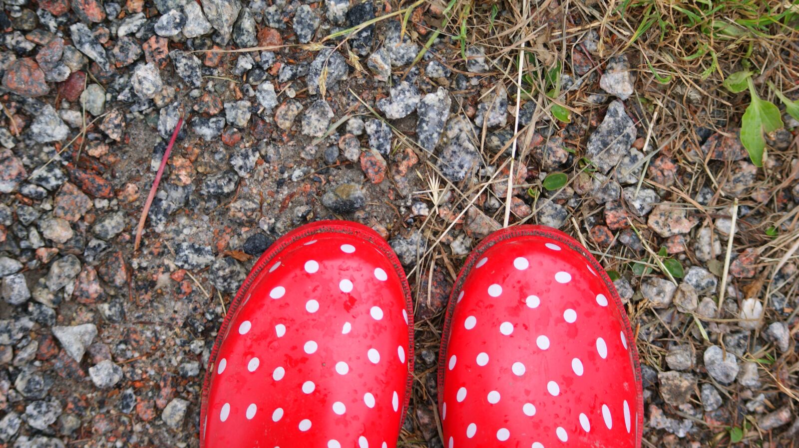 Sony Alpha DSLR-A300 sample photo. Rubber boots, dots, red photography