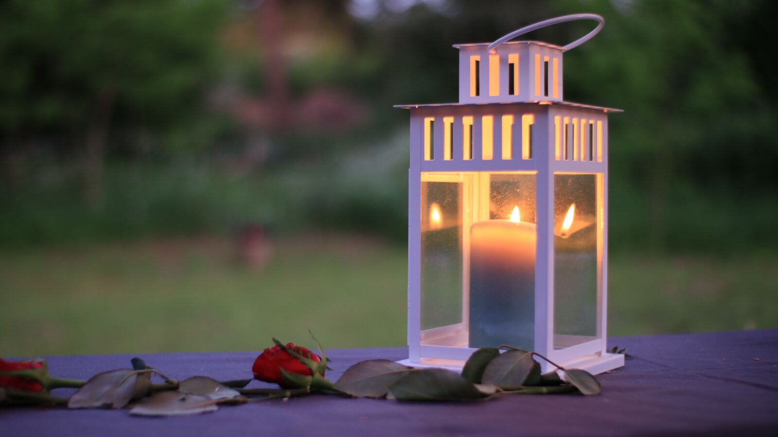 Canon EOS M50 (EOS Kiss M) sample photo. Romantic, candlelight, romance photography