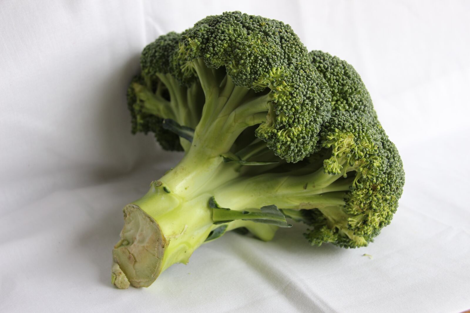Canon EOS 700D (EOS Rebel T5i / EOS Kiss X7i) sample photo. Broccoli, vegetable, fresh photography