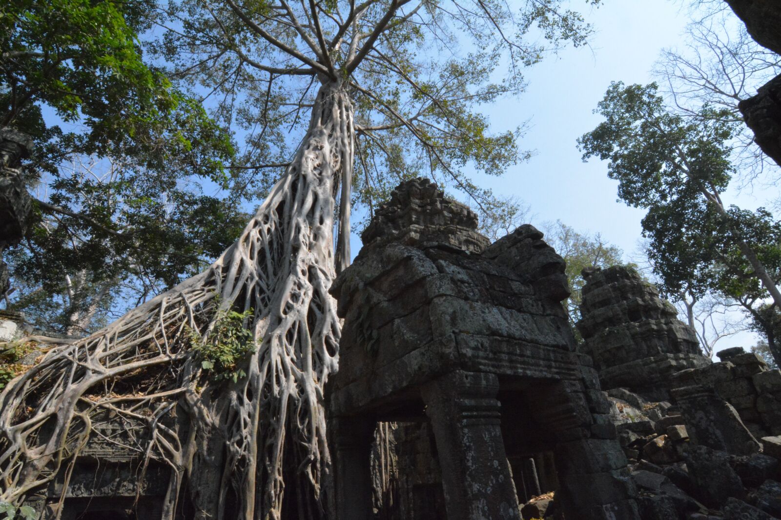 Nikon D7100 sample photo