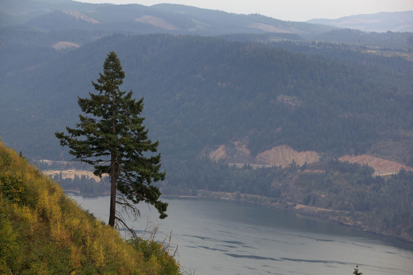Canon EOS 5D Mark II sample photo. Columbia, river, scenic photography