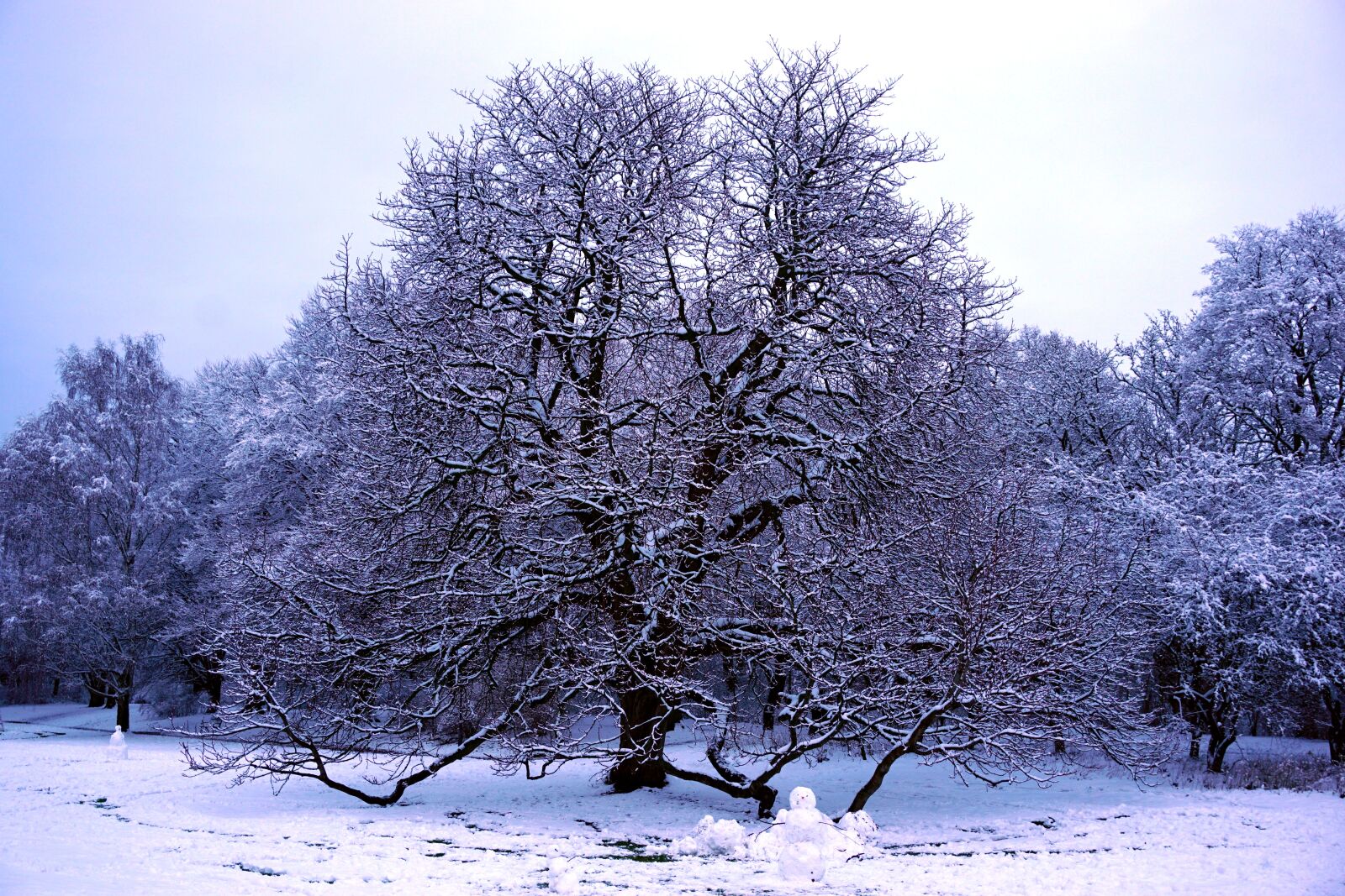 Sony a6000 sample photo. Malmö, winter, sweden photography