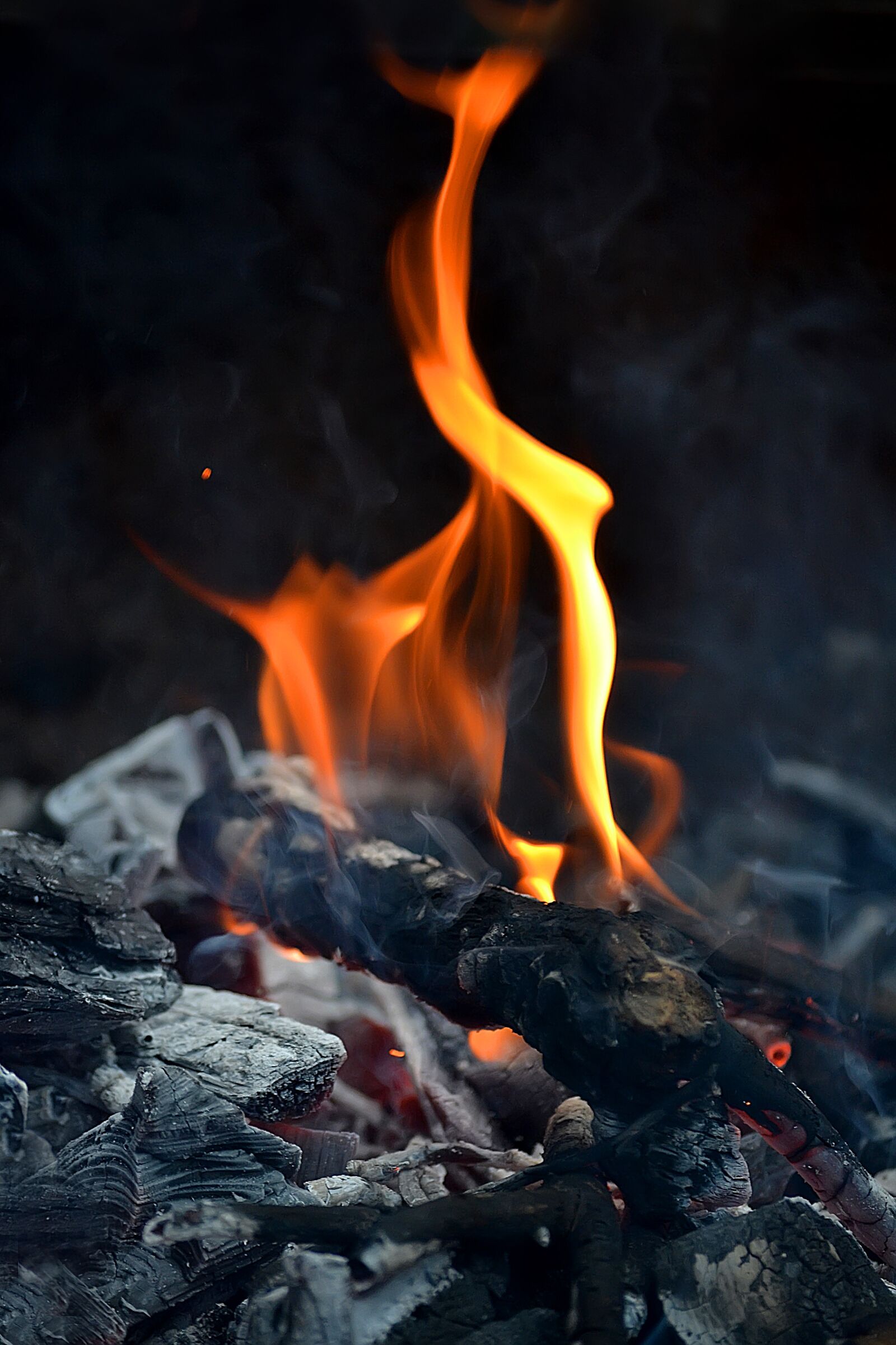 Nikon D3100 sample photo. Flash, heat, koster photography