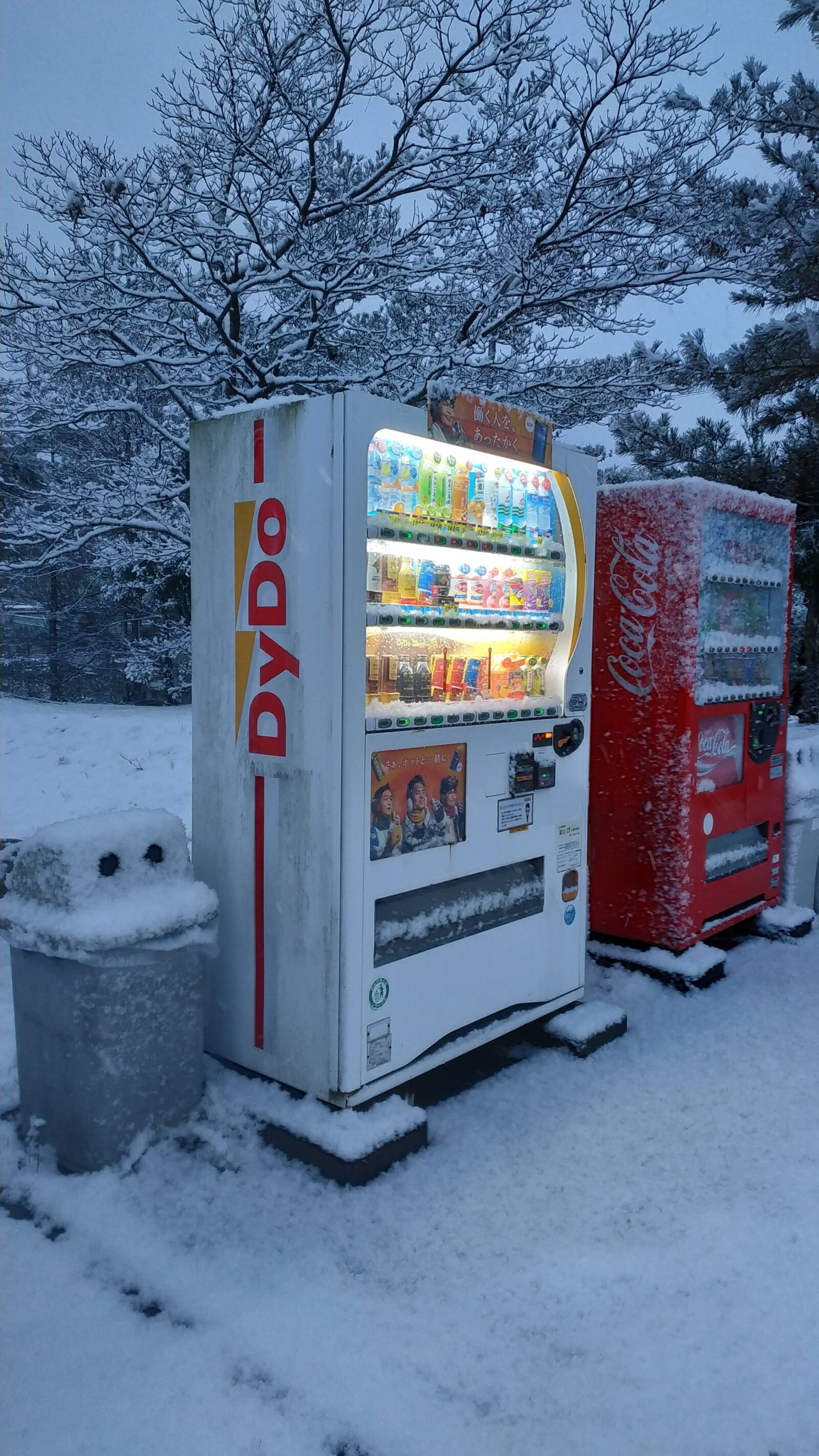Xiaomi MI MAX 3 sample photo. Winter, japan, snow photography