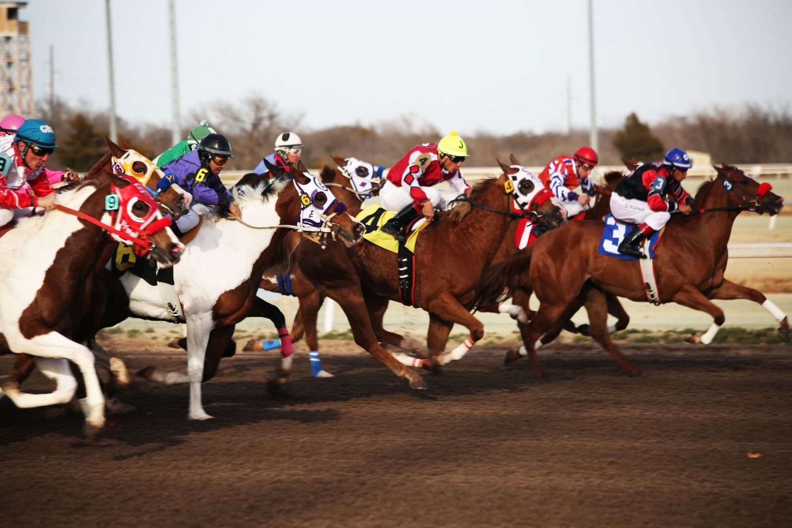 Canon EF 70-300mm F4-5.6 IS USM sample photo. Horses, horse racing, racetrack photography