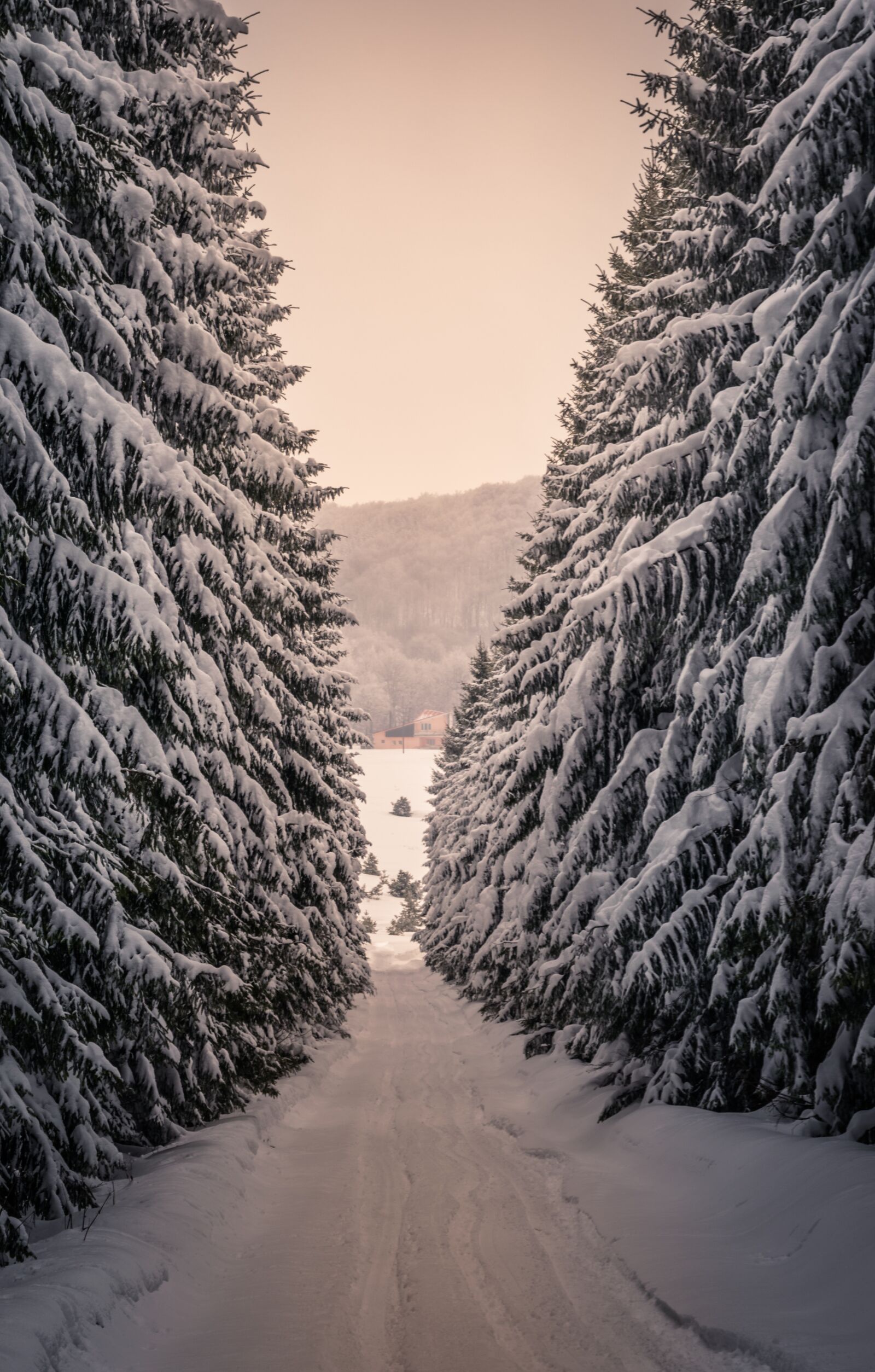 Nikon D3300 sample photo. Times, snow, the tunnel photography
